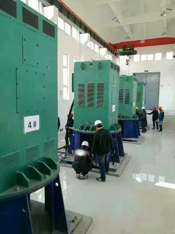Y6302-6某污水处理厂使用我厂的立式高压电机安装现场