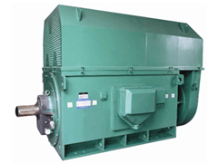 Y6302-6Y系列6KV高压电机