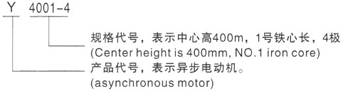 西安泰富西玛Y系列(H355-1000)高压Y6302-6三相异步电机型号说明