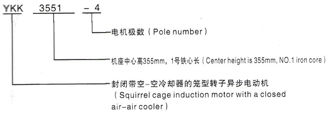 YKK系列(H355-1000)高压Y6302-6三相异步电机西安泰富西玛电机型号说明